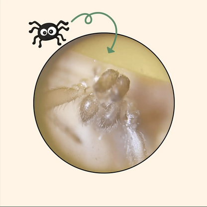 El Pequescopio™ - Un micromundo lleno de aventuras